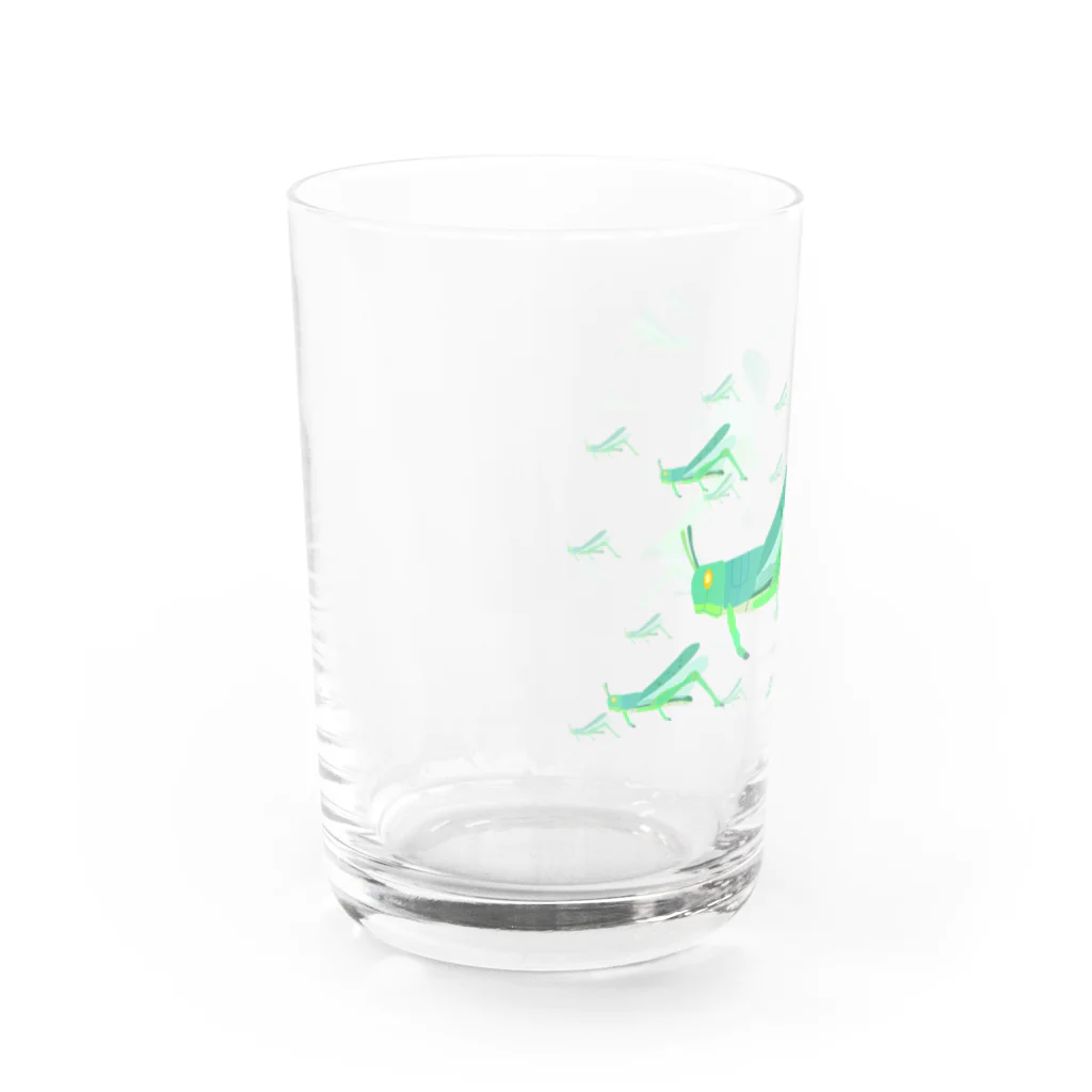 illust_designs_labのサバクトビバッタ 孤独相 群体・蝗害  Water Glass :left