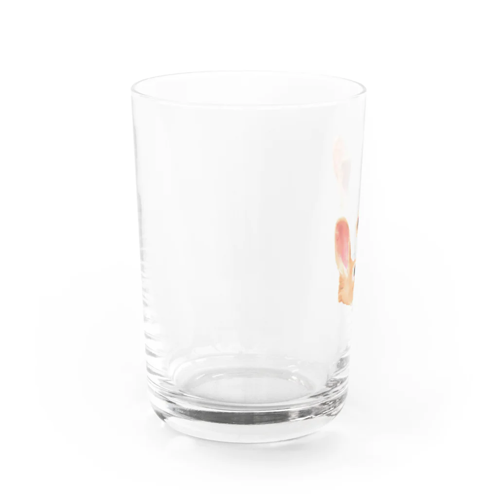 miruANの二兎を追う者は一兎をも得ず Water Glass :left