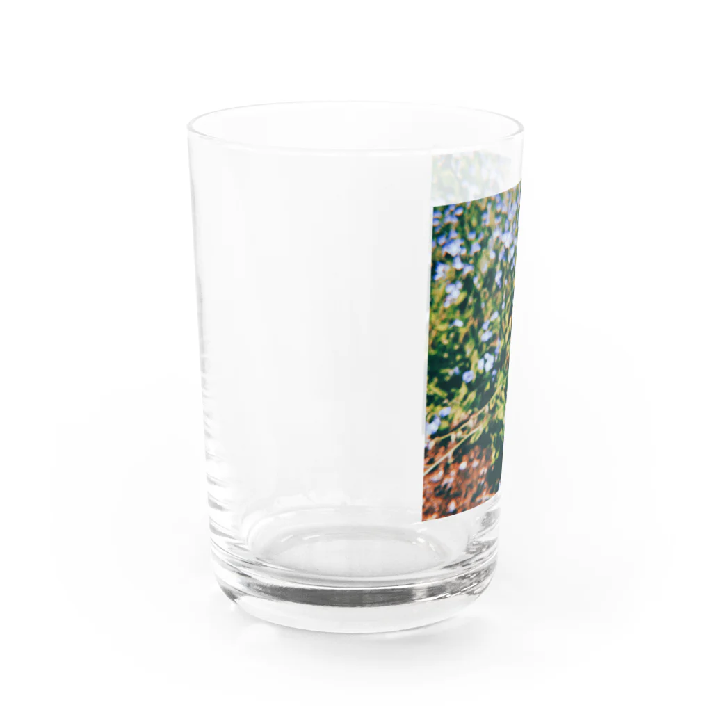 夜夜未明のむらさきむらさき Water Glass :left