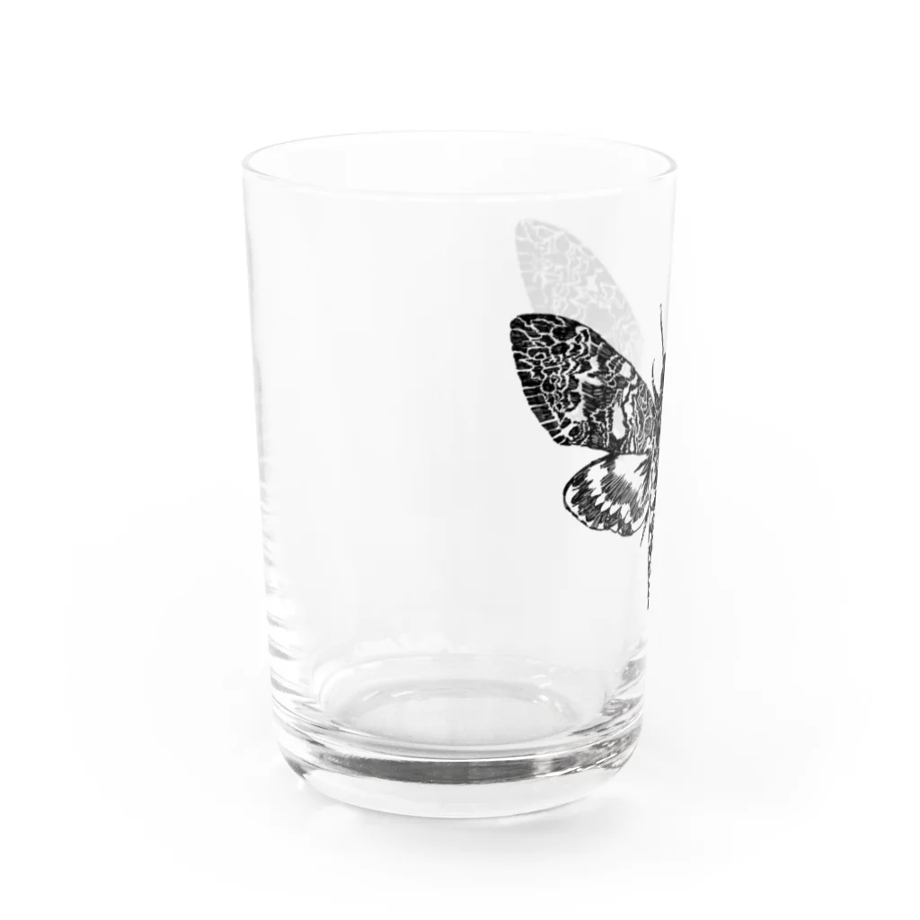 makkura.の蛾(クロメンガタスズメ) Water Glass :left