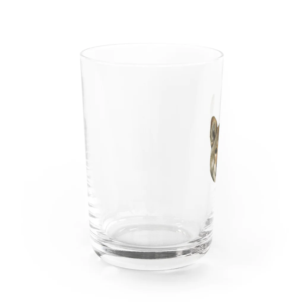 channaoの柴犬・陸 Water Glass :left