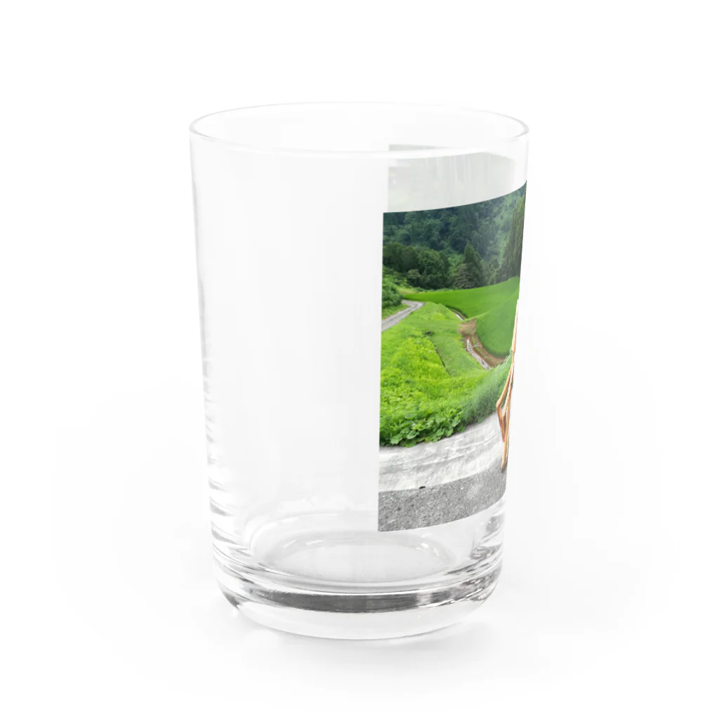 tanukitanukiの寄り添う二人(木の人形) Water Glass :left