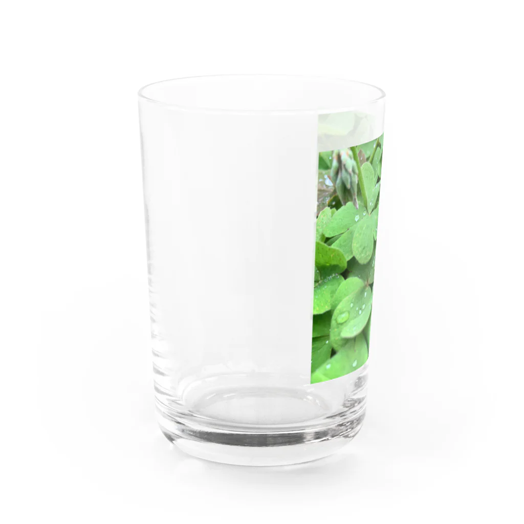 Mo.の🌿 Water Glass :left