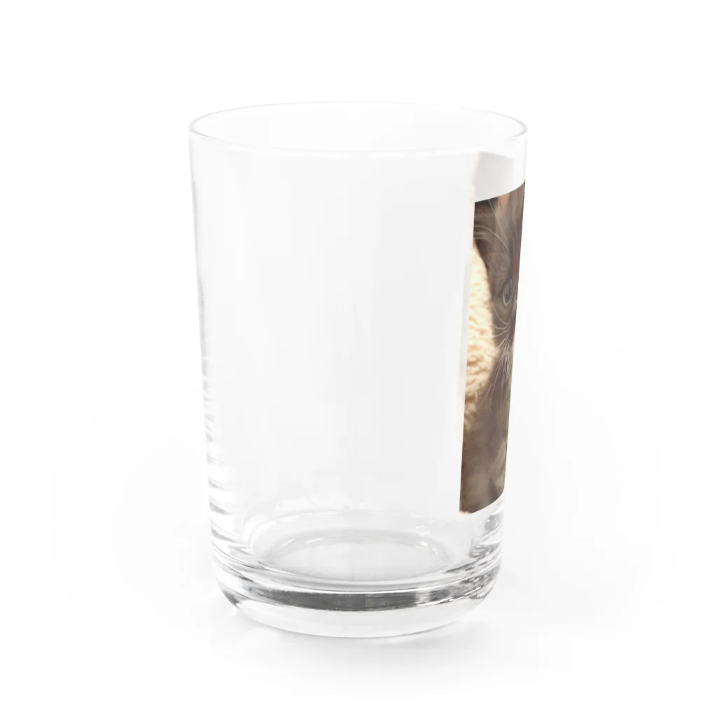 SUNNYHOUSE02のゴマくん Water Glass :left