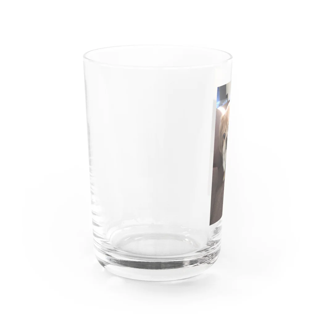 nana05のわんちゃん Water Glass :left