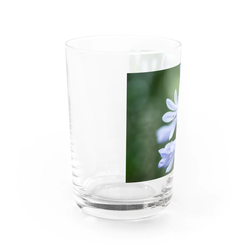 PhotoAtelier AileのAngel of Agapanthus 170702 Water Glass :left