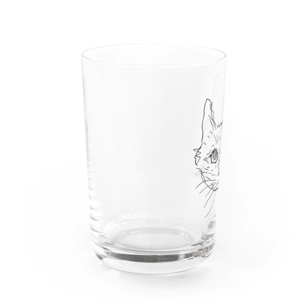 HUMMING BIRD DESIGNのグレーの猫ヒロくん グラス左面