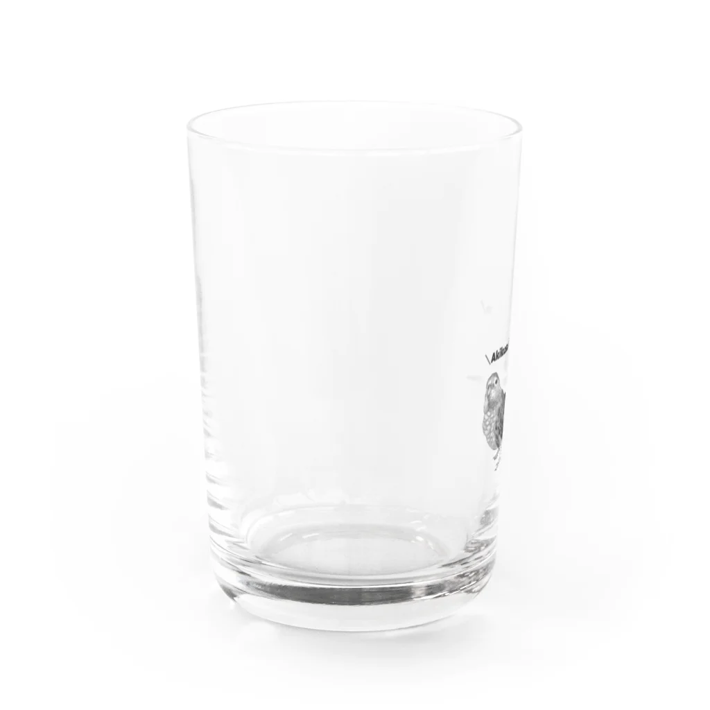 M.storeのアキクサインコグラス Water Glass :left