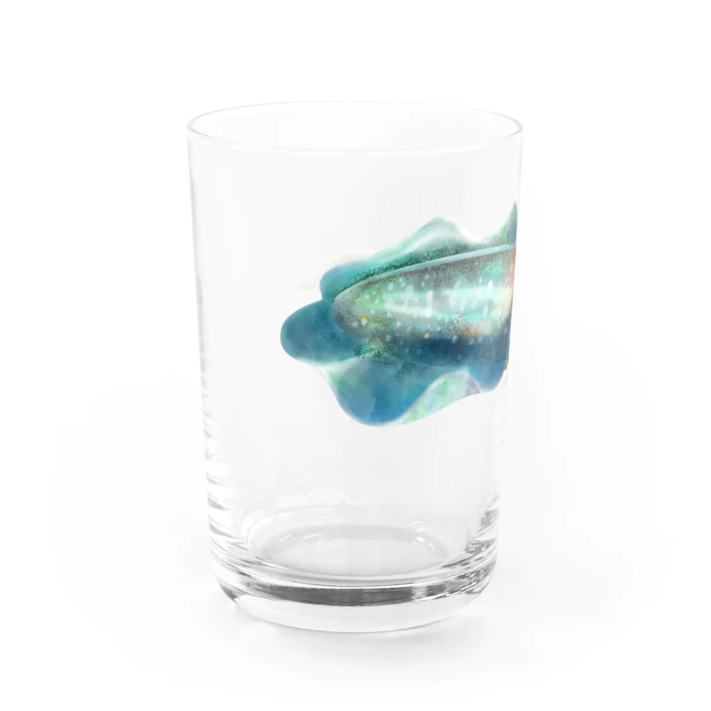 OJIKのアオリイカ Water Glass :left