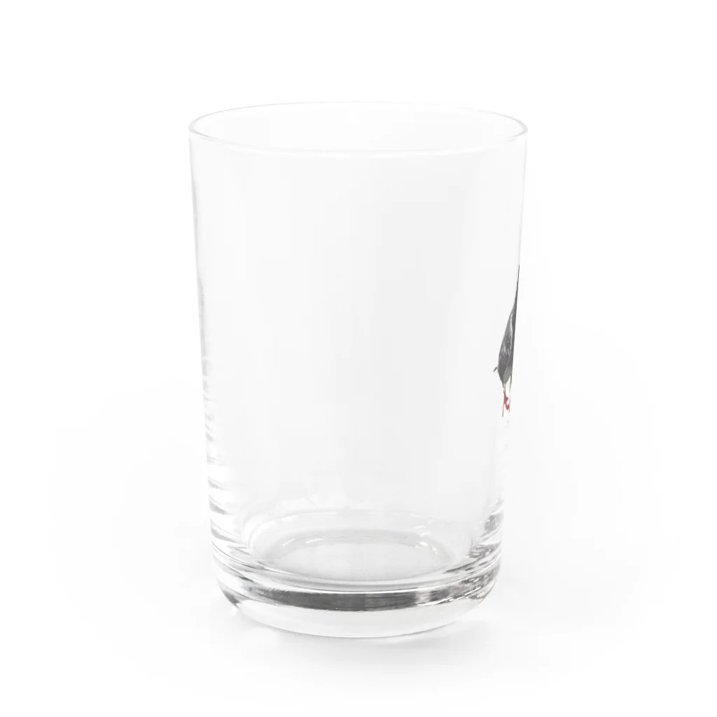 よしＤのはとさん Water Glass :left