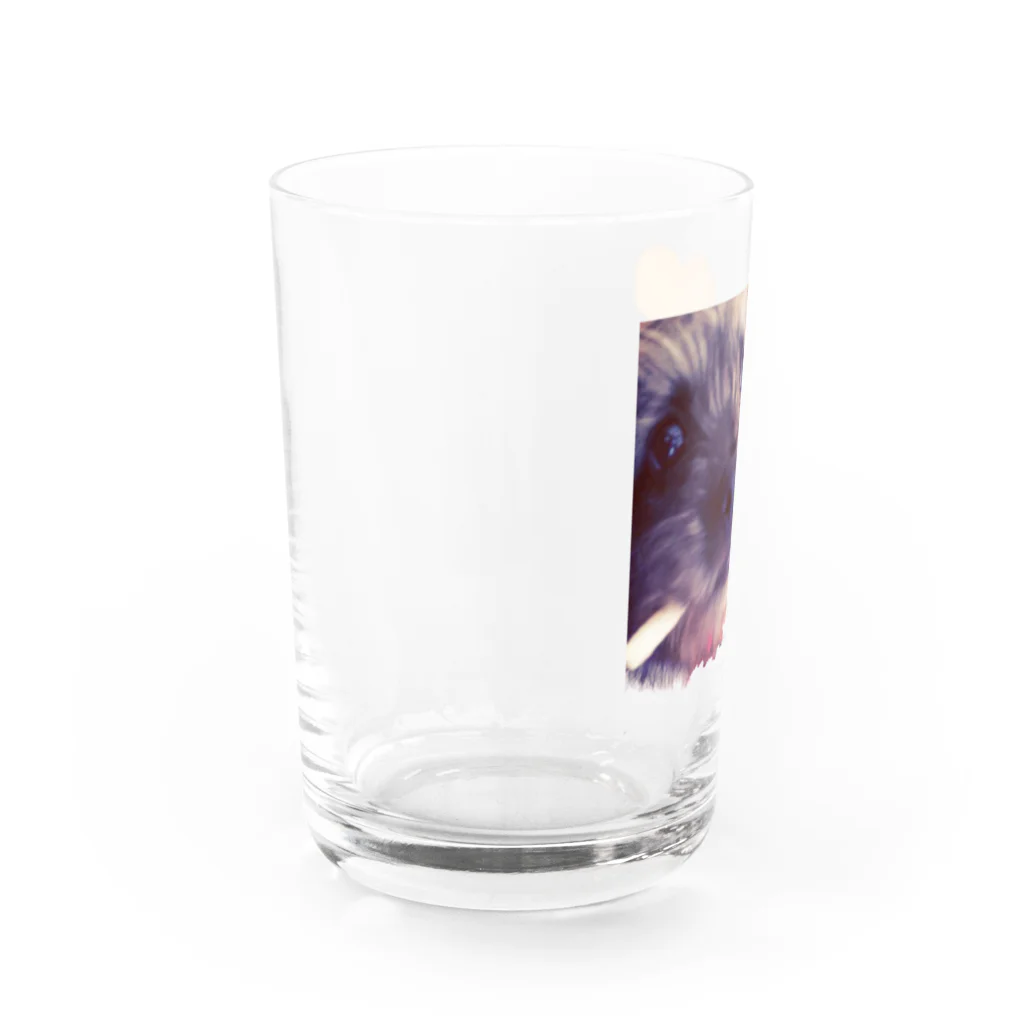 jijinosukeの自分なりの一服╰( Ｕ ・ᴥ・)m Water Glass :left