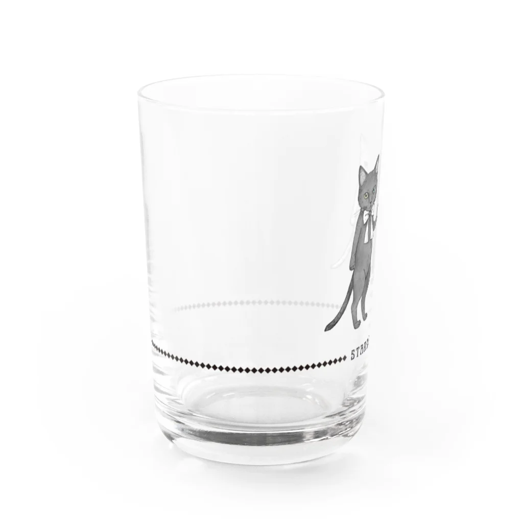 Starrynightの白黒の双子猫 Water Glass :left