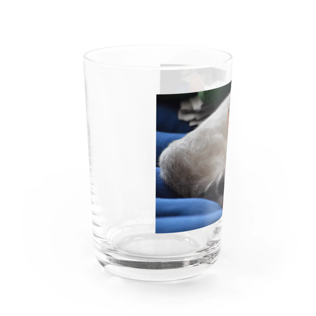 大福のだいちゃん Water Glass :left