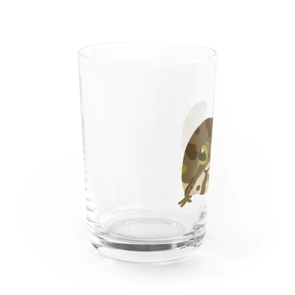 ゲコゲコンのアメフクラガエルくん Water Glass :left