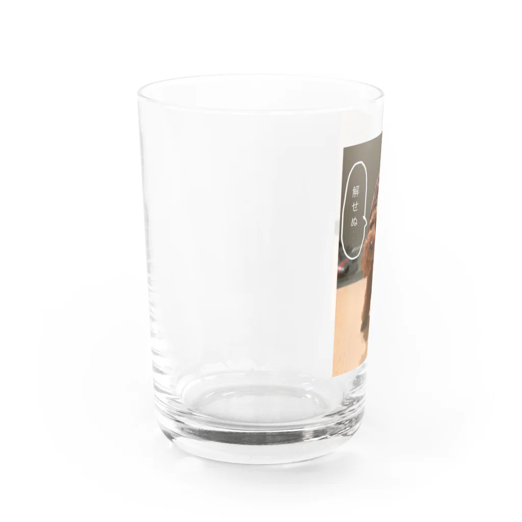 SNKRSの解せぬREVE Water Glass :left