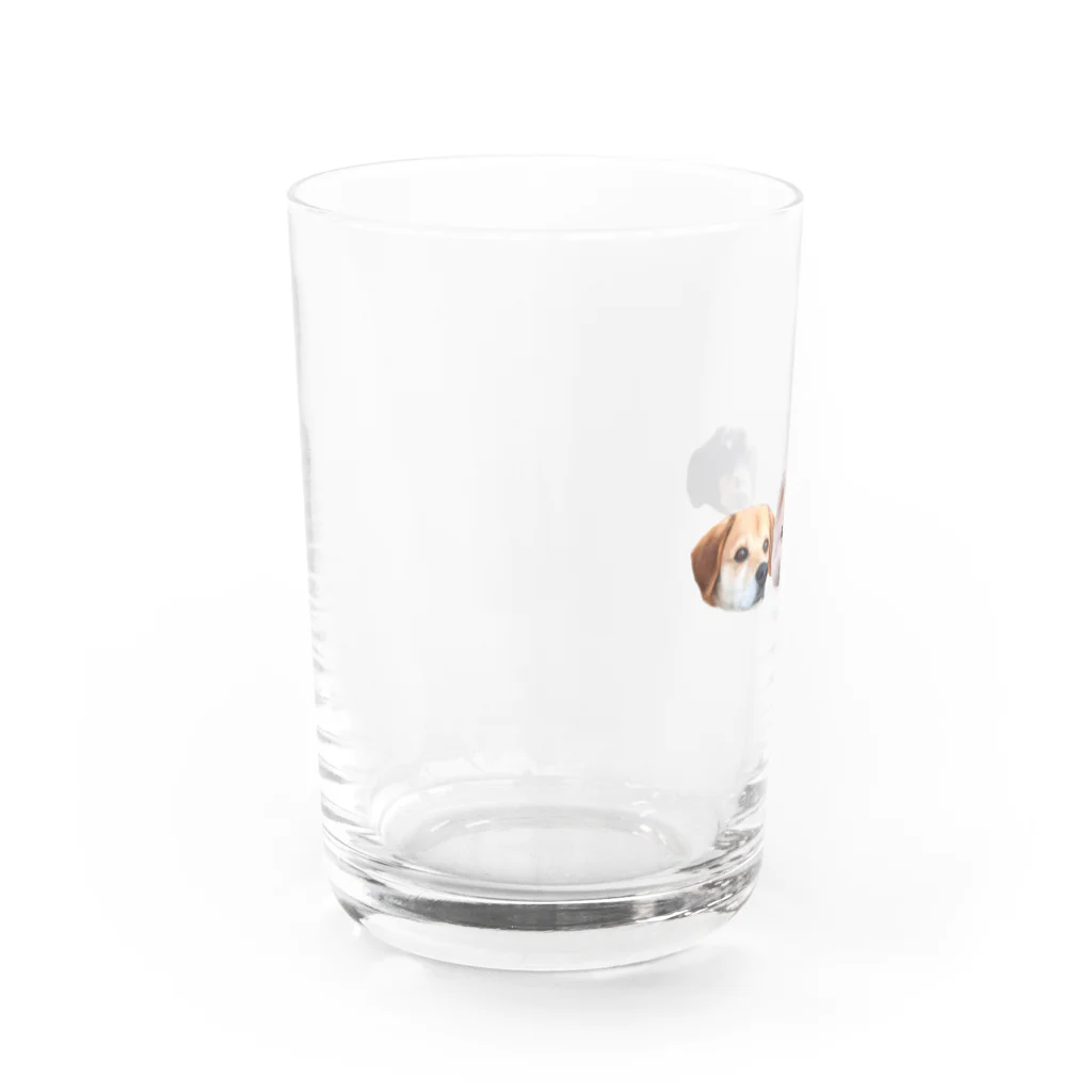 アザラシ酒のころちょこぽんた Water Glass :left