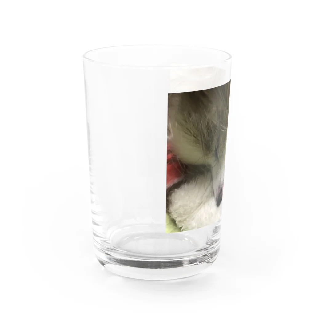 Rinaのてんてん Water Glass :left