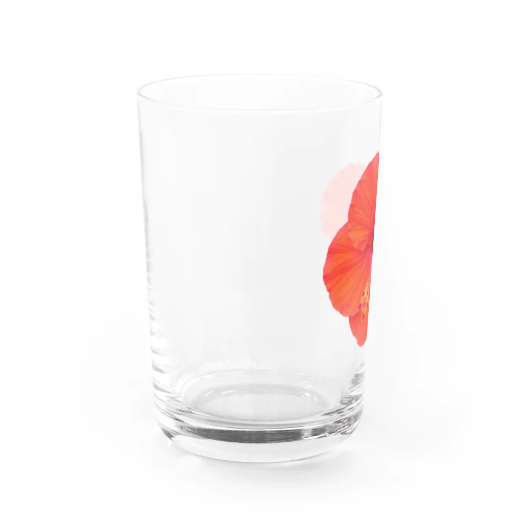 ☆ららくらら☆のハイビスカス・レッド① Water Glass :left