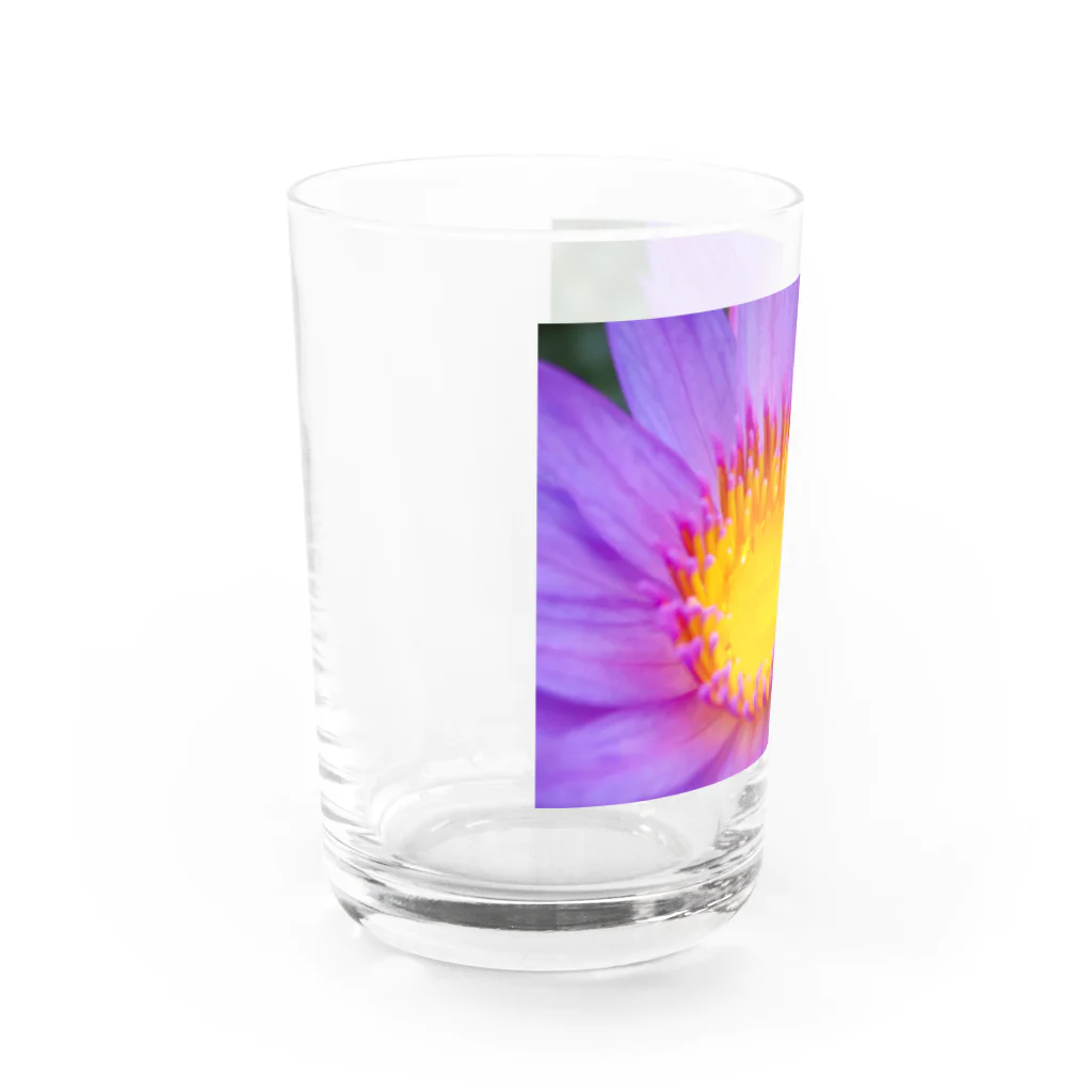 8l0のFlower drop 睡蓮 Water Glass :left