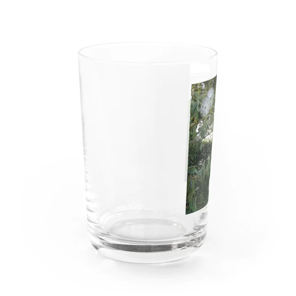 Yama10の白。花。花火。ほわほわ。 Water Glass :left