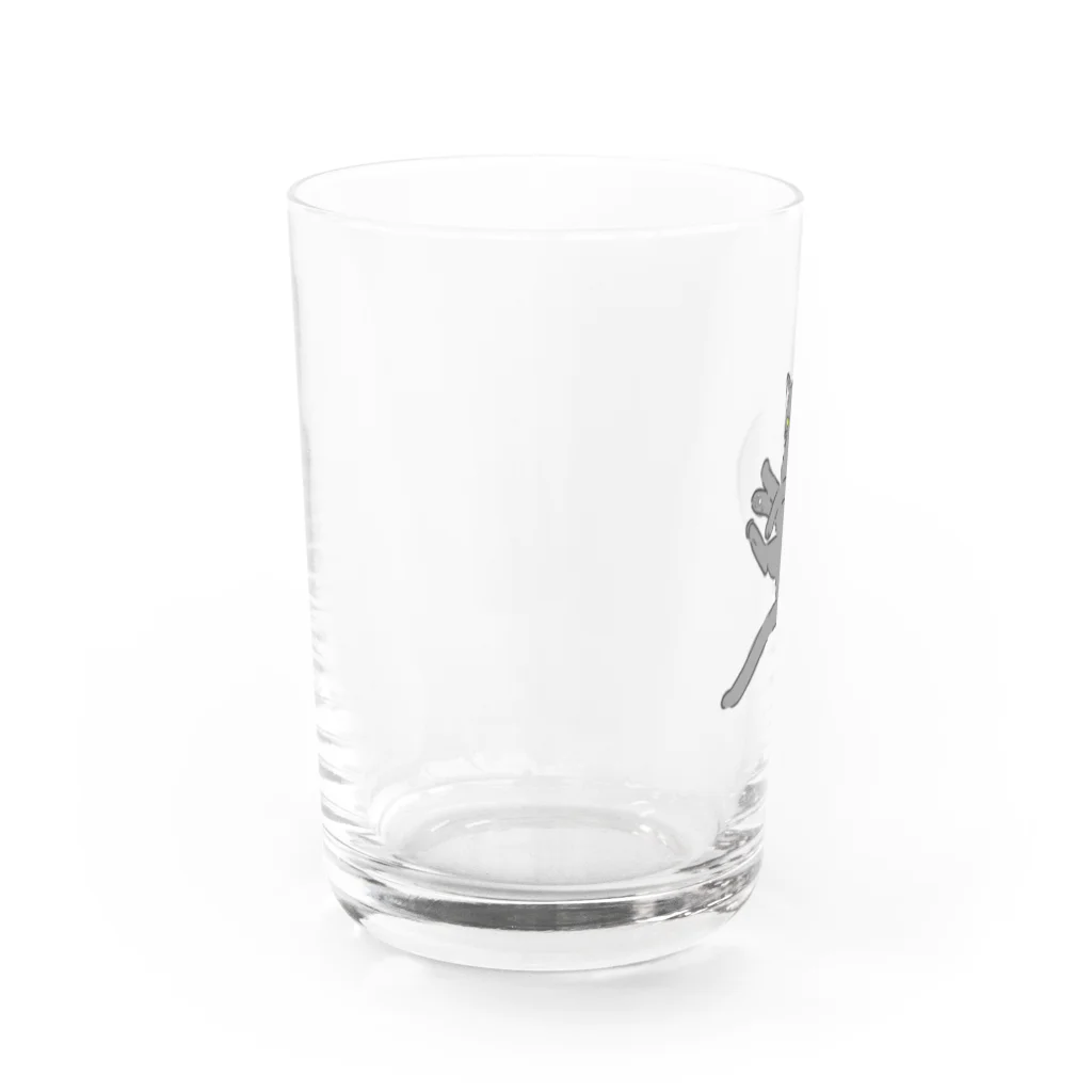 foolのSinatra Water Glass :left