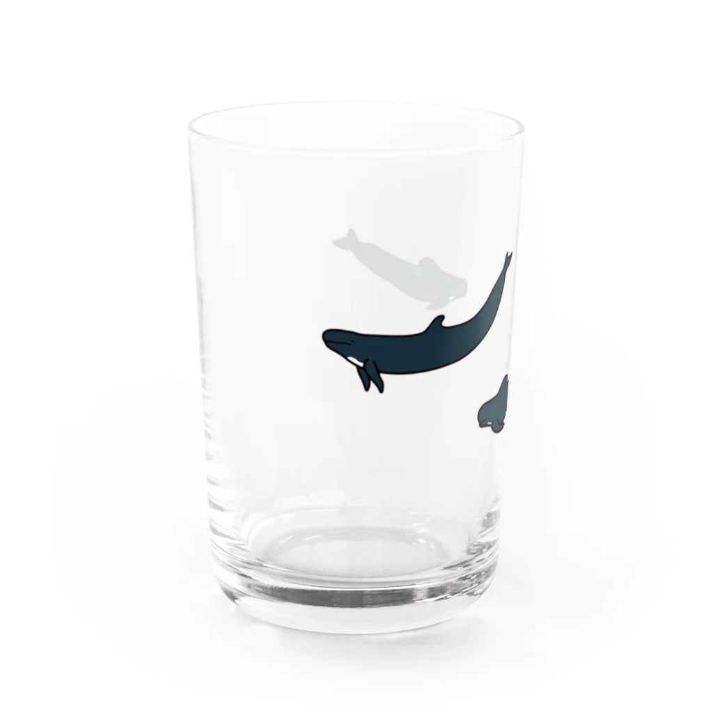 クジラの雑貨屋さん。のゴントウクジラトリオ・グラス Water Glass :left