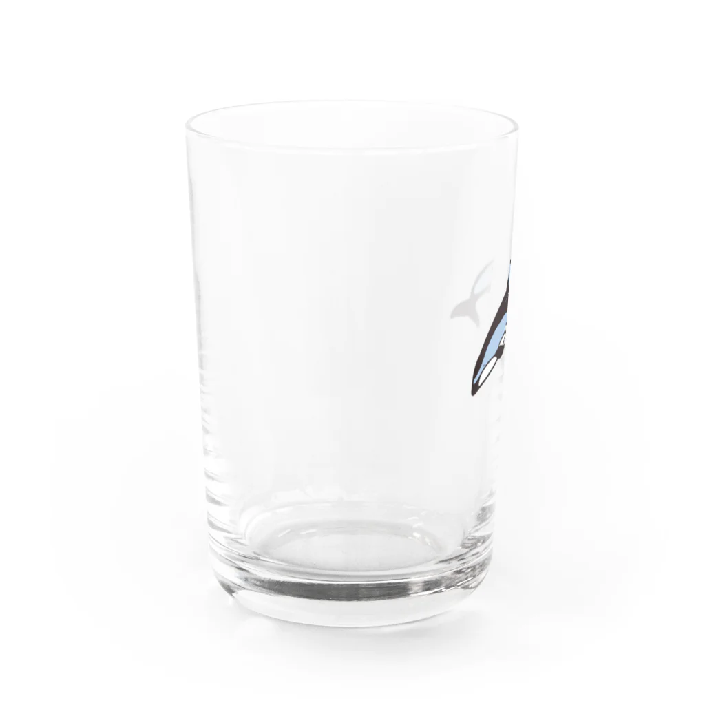 クジラの雑貨屋さん。のカマイルカ・グラス Water Glass :left