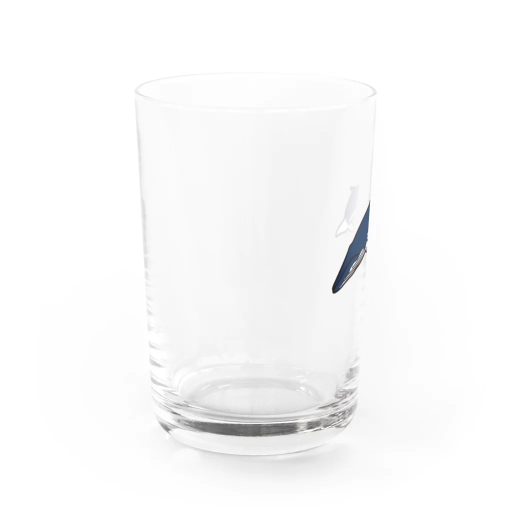 クジラの雑貨屋さん。のミンククジラ・グラス Water Glass :left