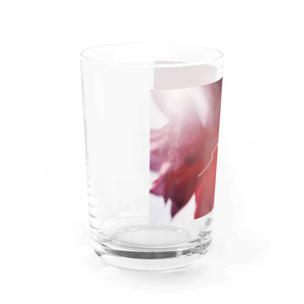 kokonotsuのflowering you Water Glass :left