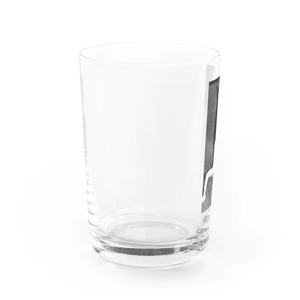 酔っ払い写真館のTKC Water Glass :left
