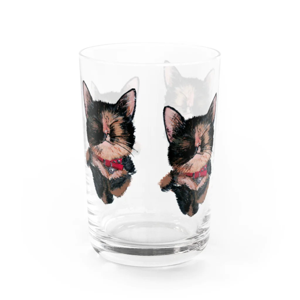 Kilkenny Catsのサビ猫 多め Water Glass :left