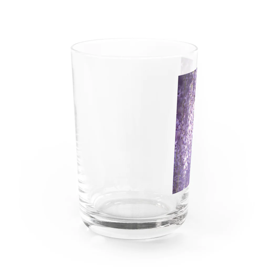 8l0の長藤　花　藤の花 Water Glass :left