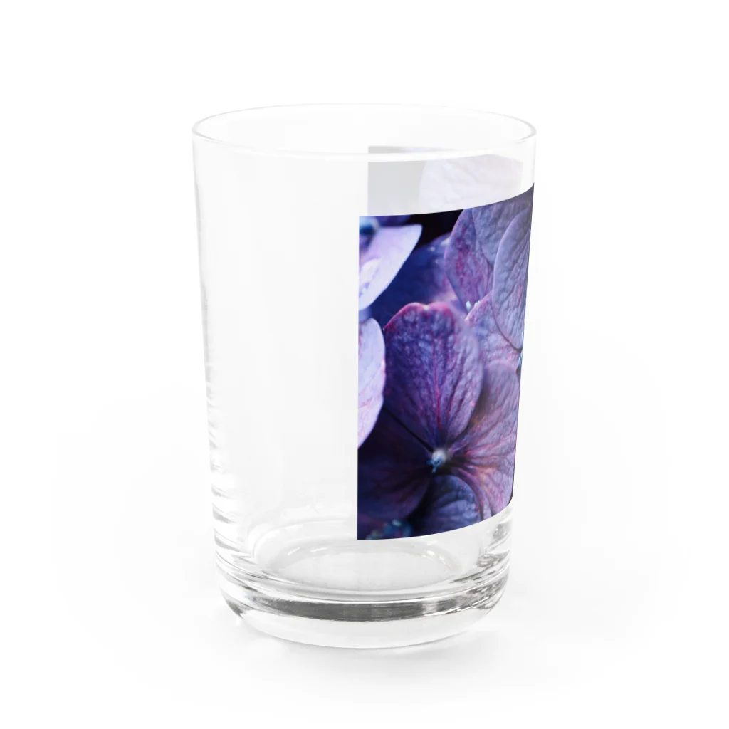 8l0の紫陽花　紫 Water Glass :left