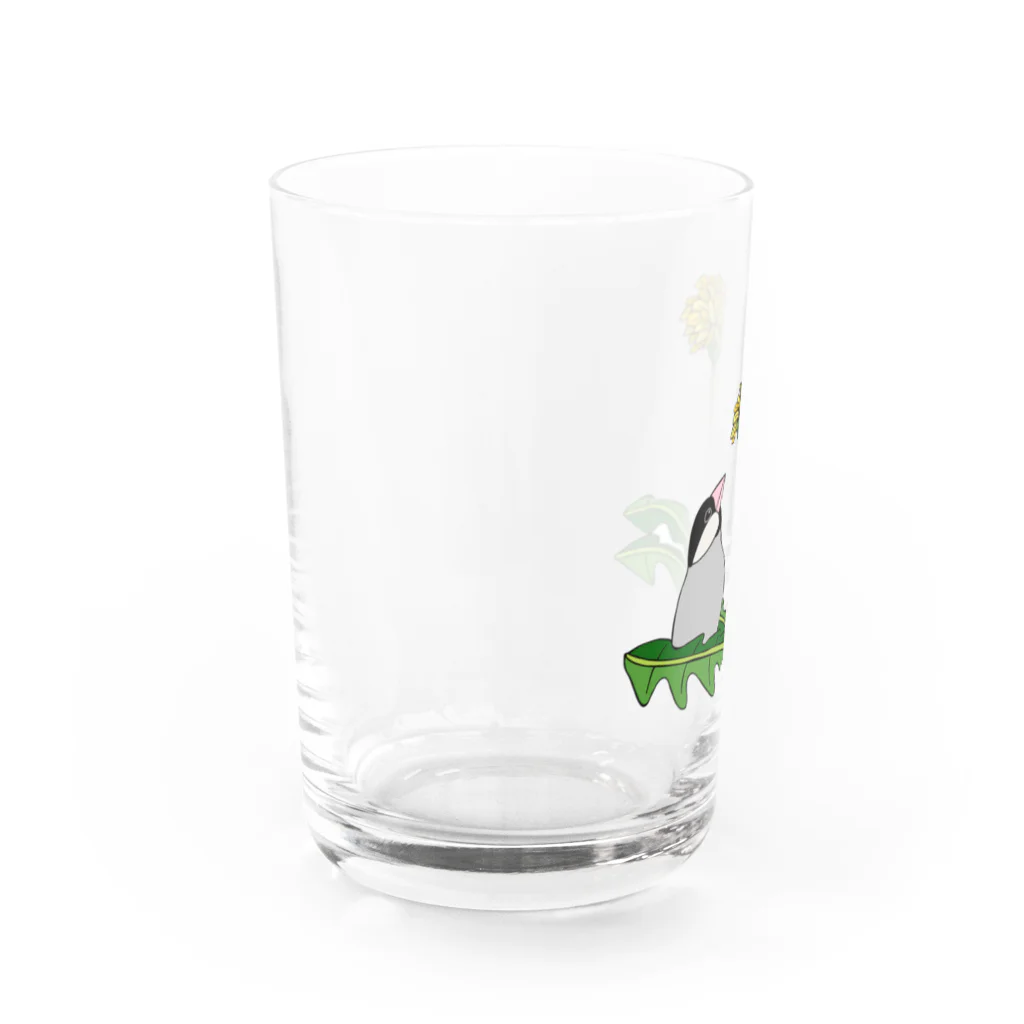 prunelleの文鳥とタンポポ Water Glass :left