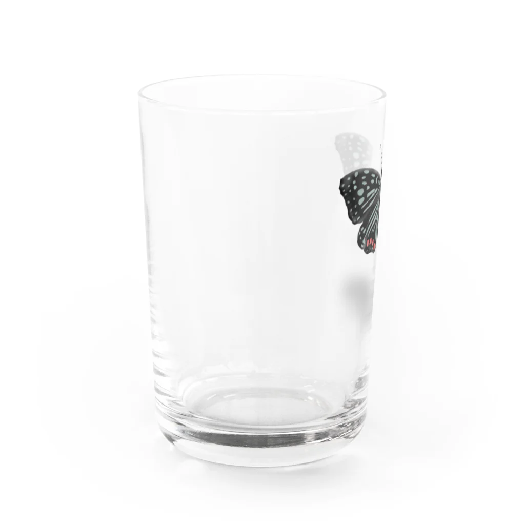 Kanshadoのアカボシゴマダラ Water Glass :left