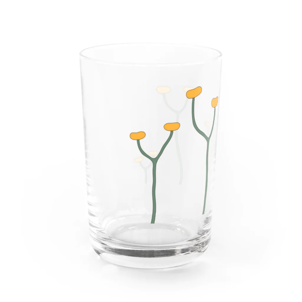 アトリエヱキパのクックソニア（Cooksonia） Water Glass :left