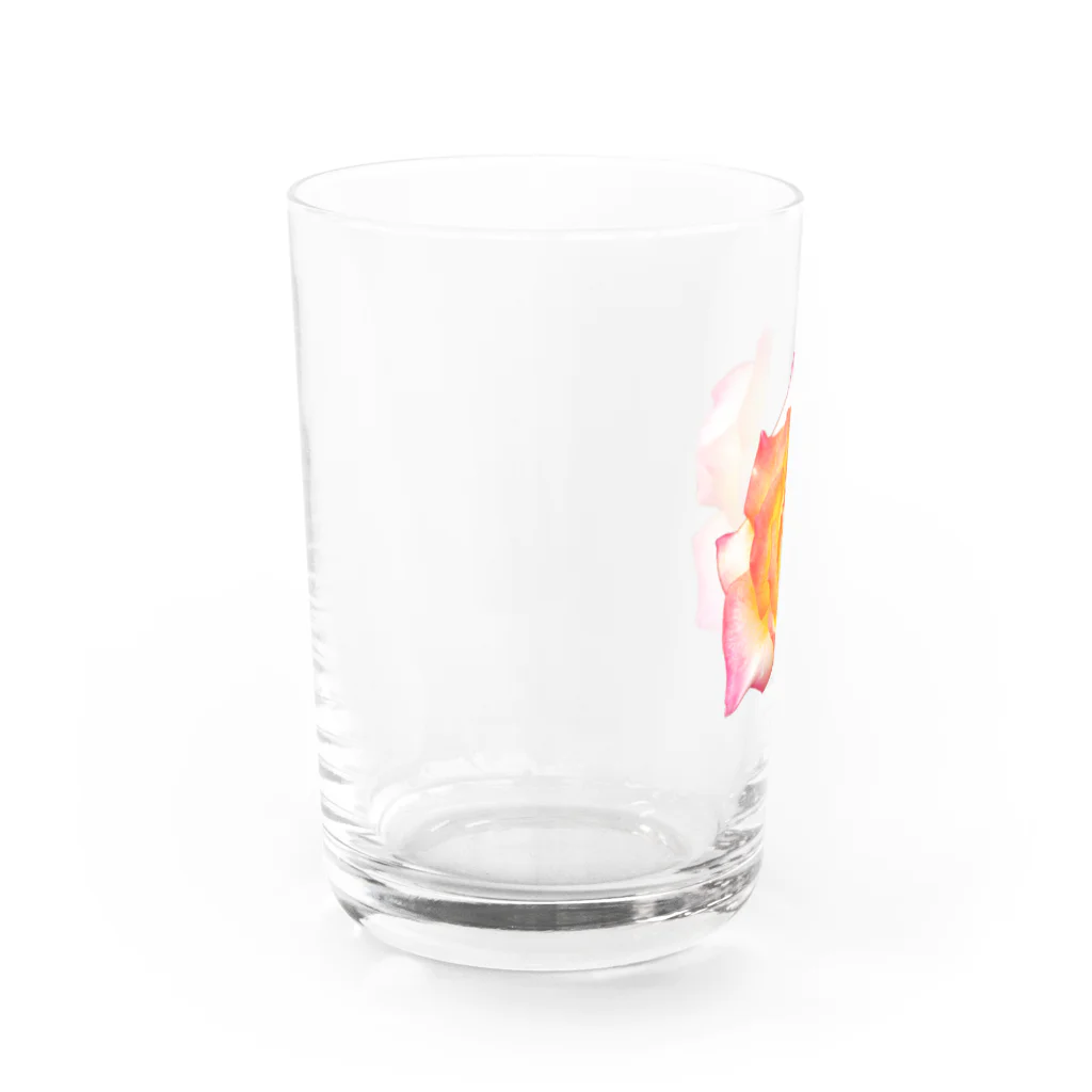 思い出の管理者のその名も薔薇 Water Glass :left