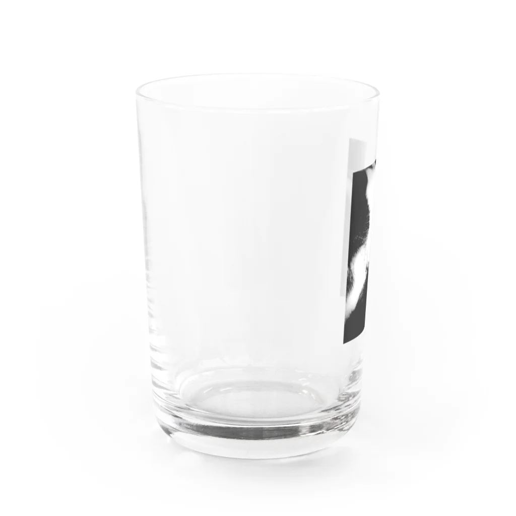 chama_coのsleeping cat glass グラス左面