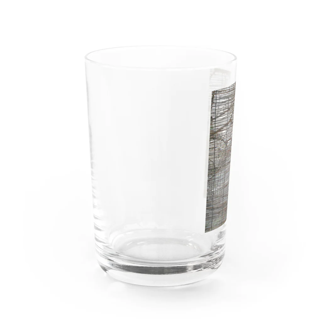 地球の楽しみ方のセミのいる夏 Water Glass :left