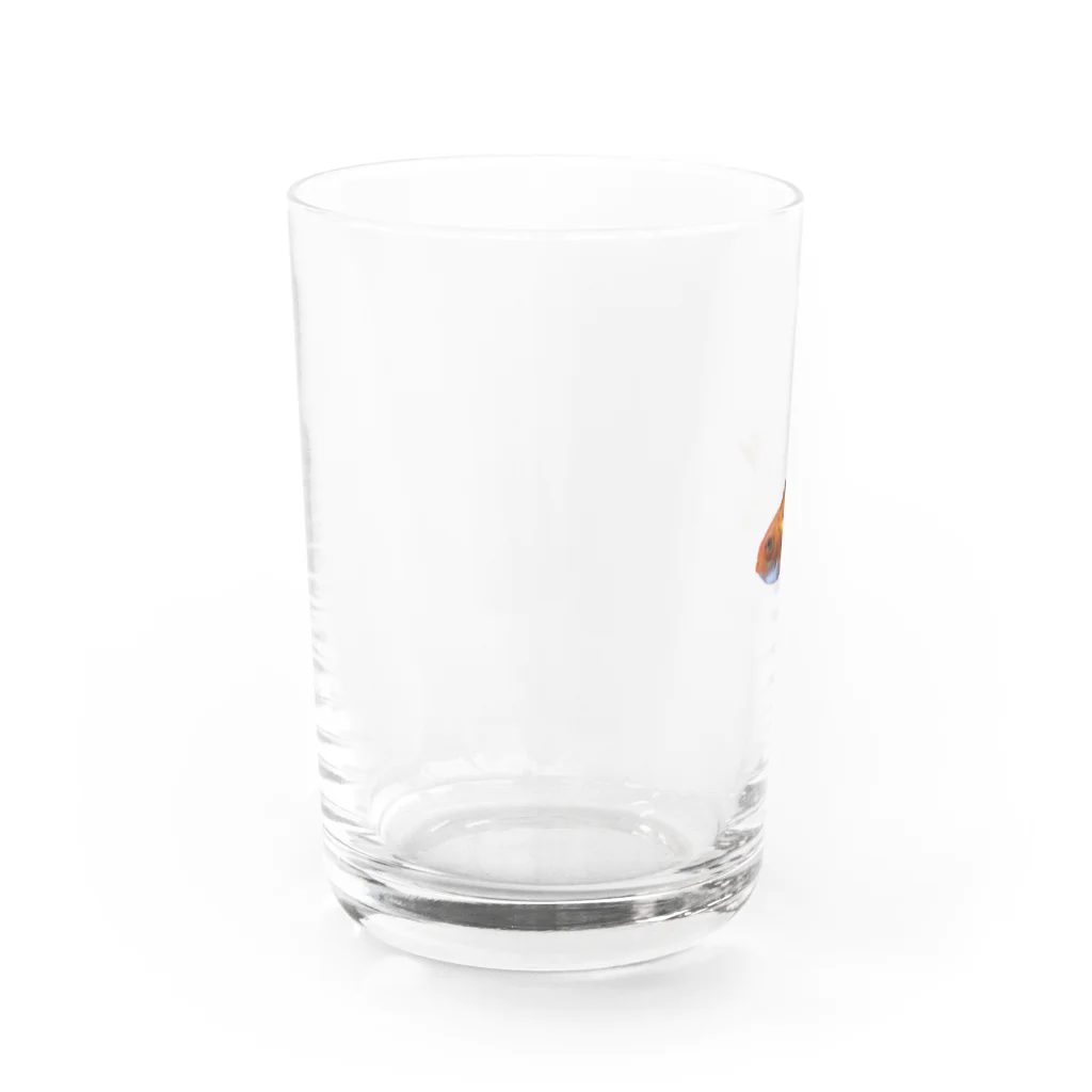 問題児のSuisui  Water Glass :left