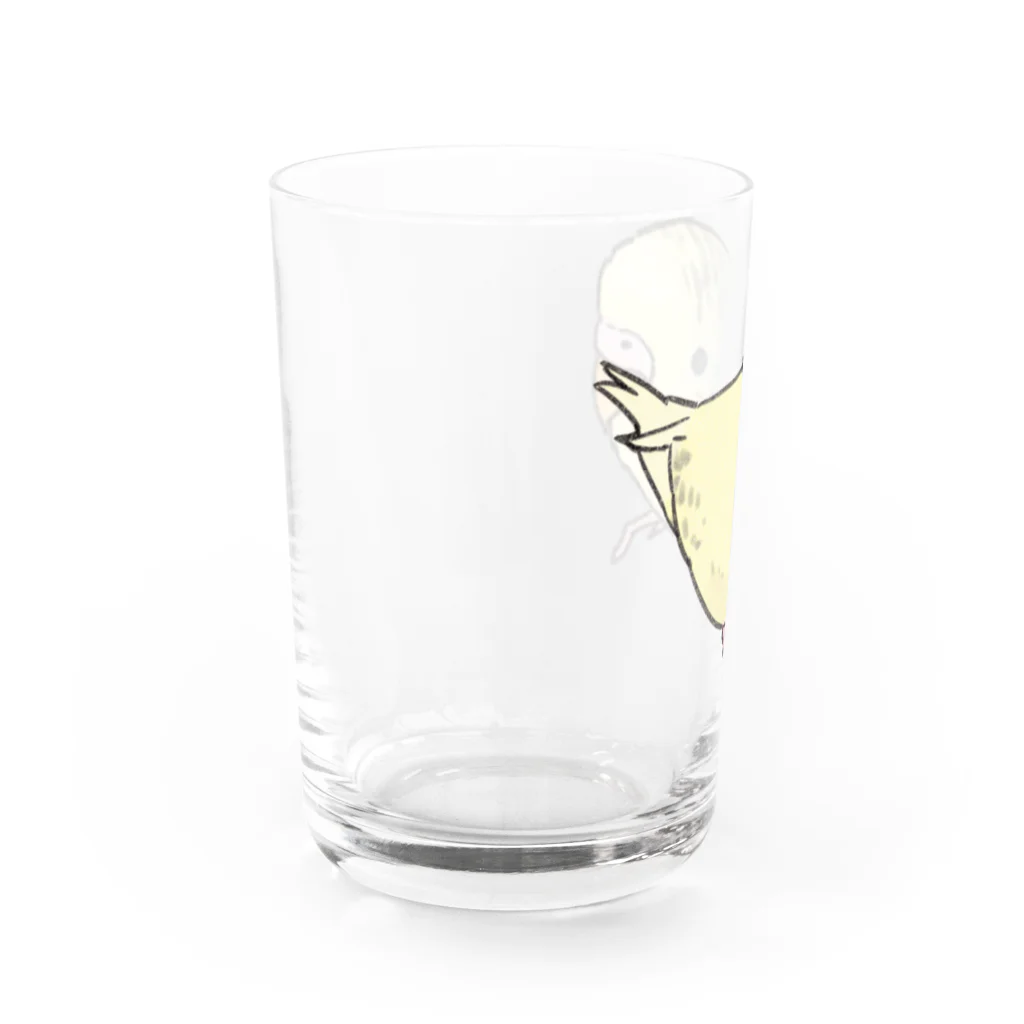 まめるりはことりの可愛いセキセイインコ　おすましちゃん【まめるりはことり】 Water Glass :left