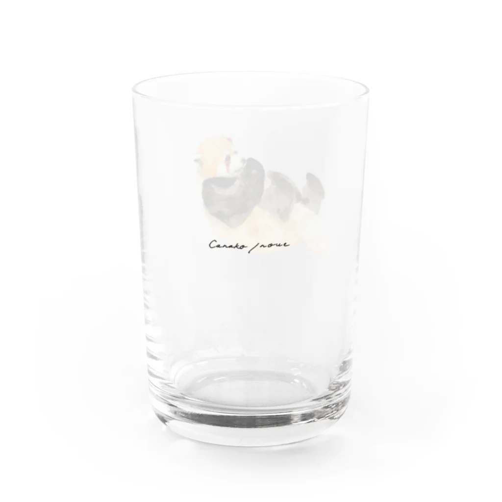 Canako Inoueのレッサーパンダ Water Glass :left