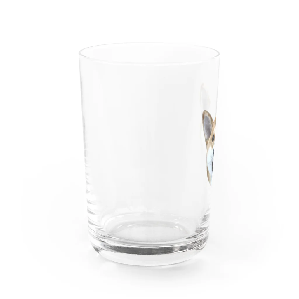 KANTAROの柴犬 かんたろう(油絵) Water Glass :left