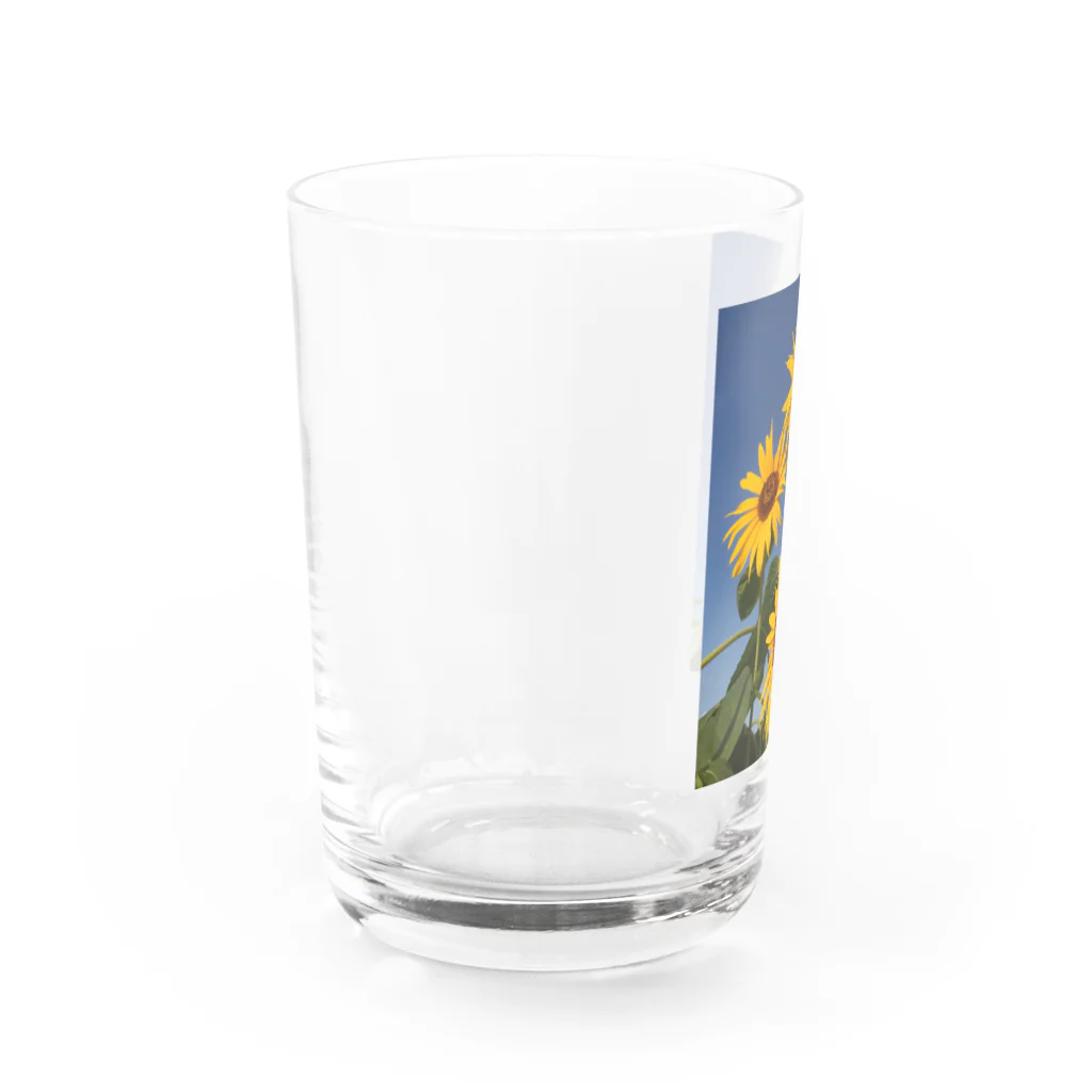 ヘ音工房の青空にひまわり Water Glass :left