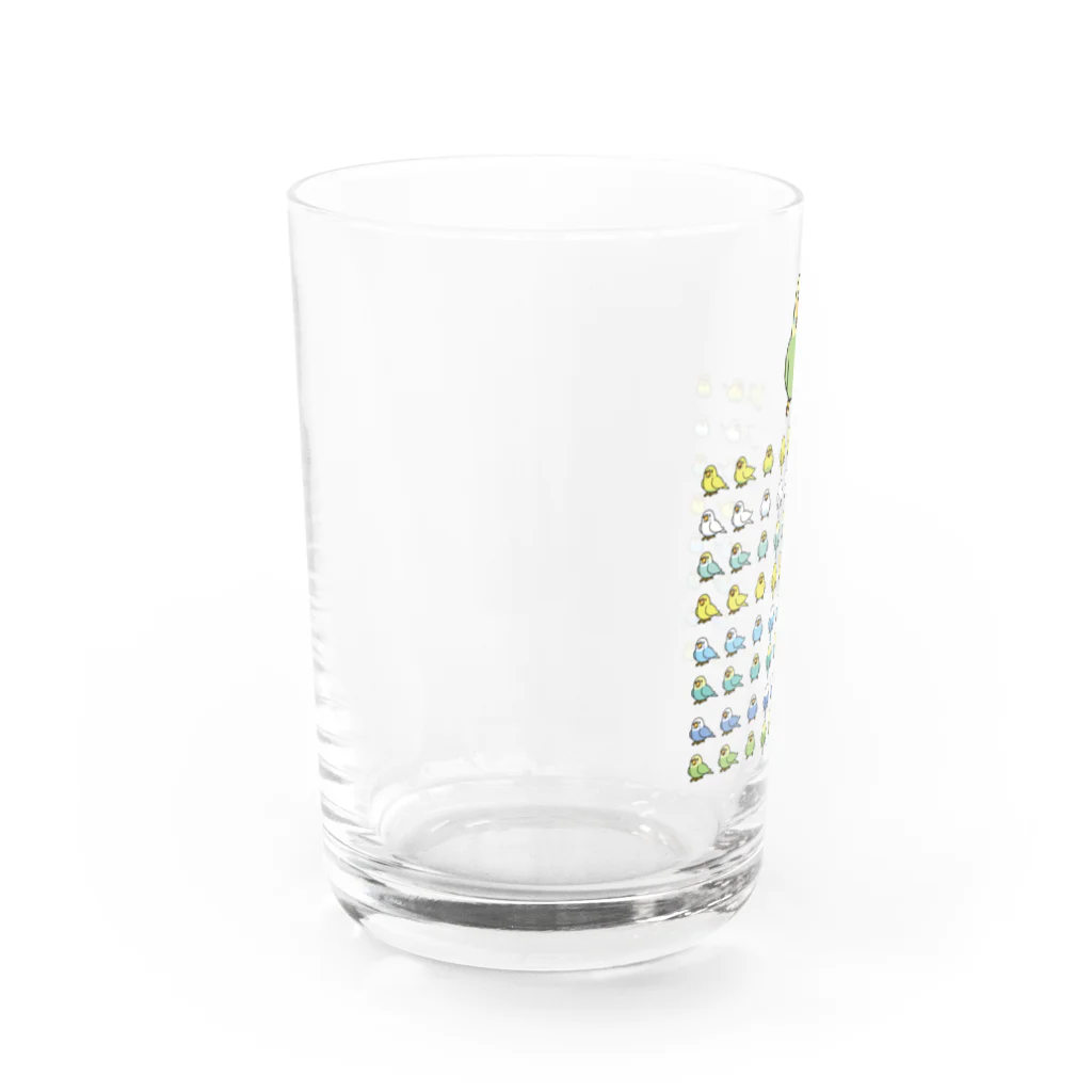 まめるりはことりの整列セキセイインコ隊【まめるりはことり】 Water Glass :left