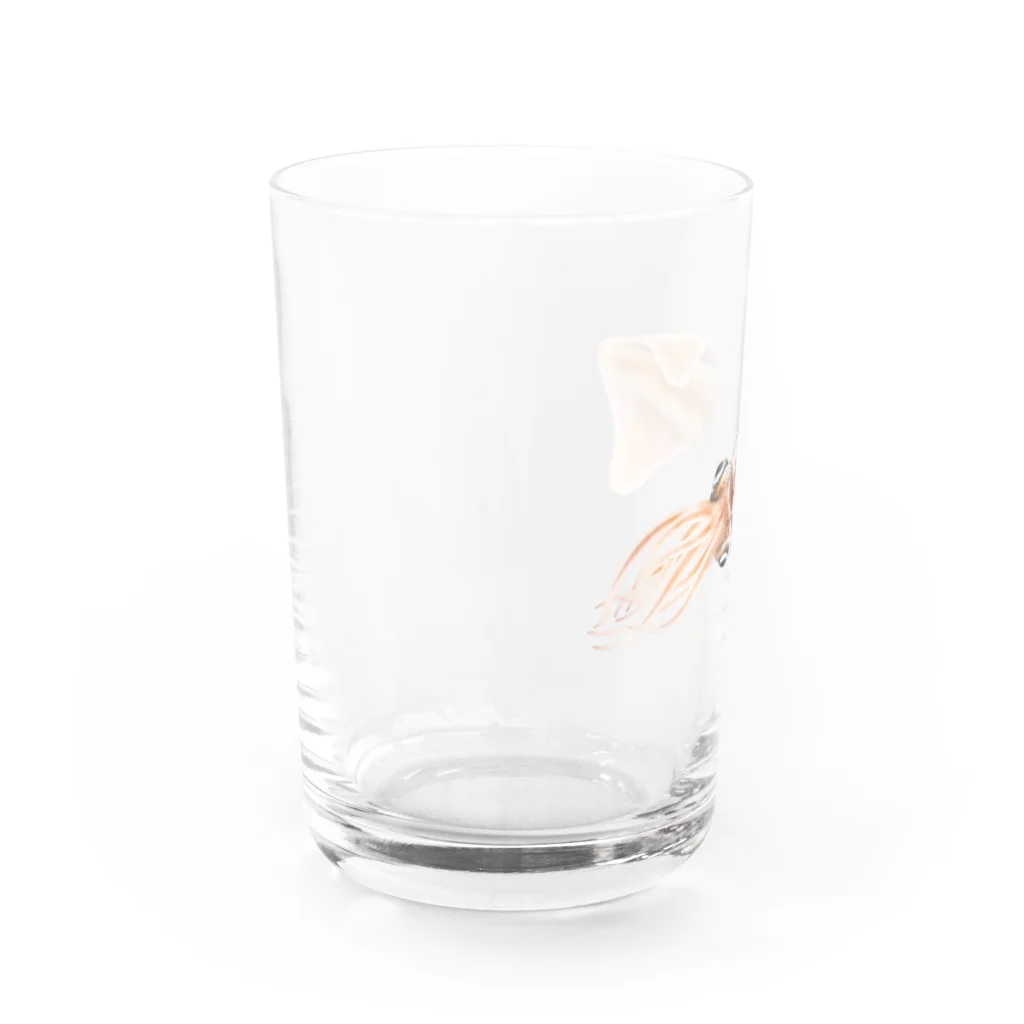 OJIKのホタルイカ Water Glass :left