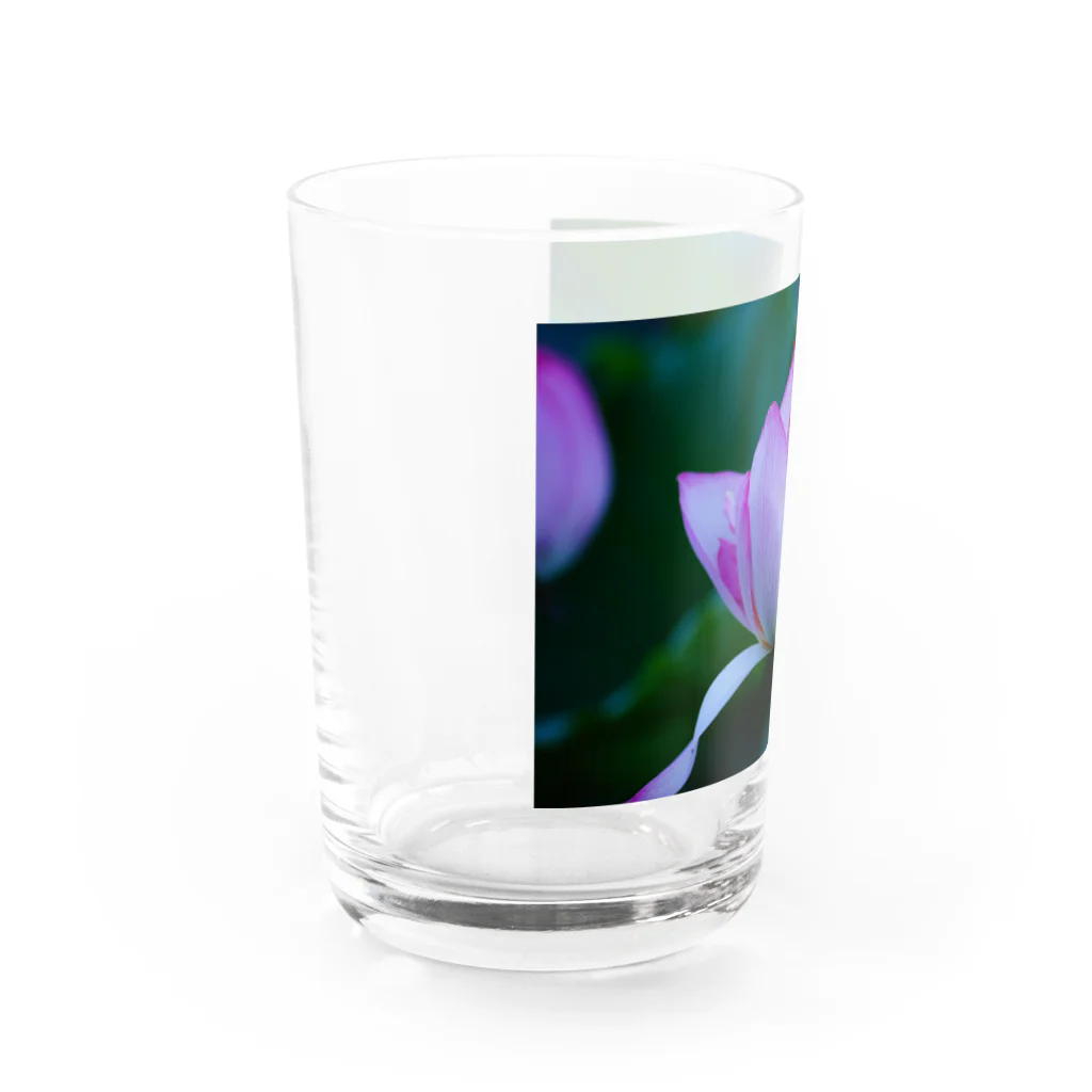 DORAMARUの破滅の美。 Water Glass :left