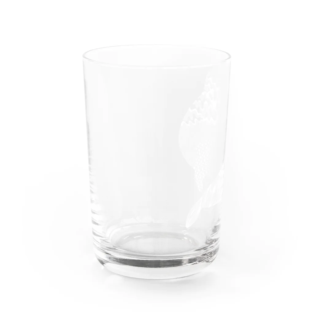 新谷べにのカリフォルニアアシカ Water Glass :left