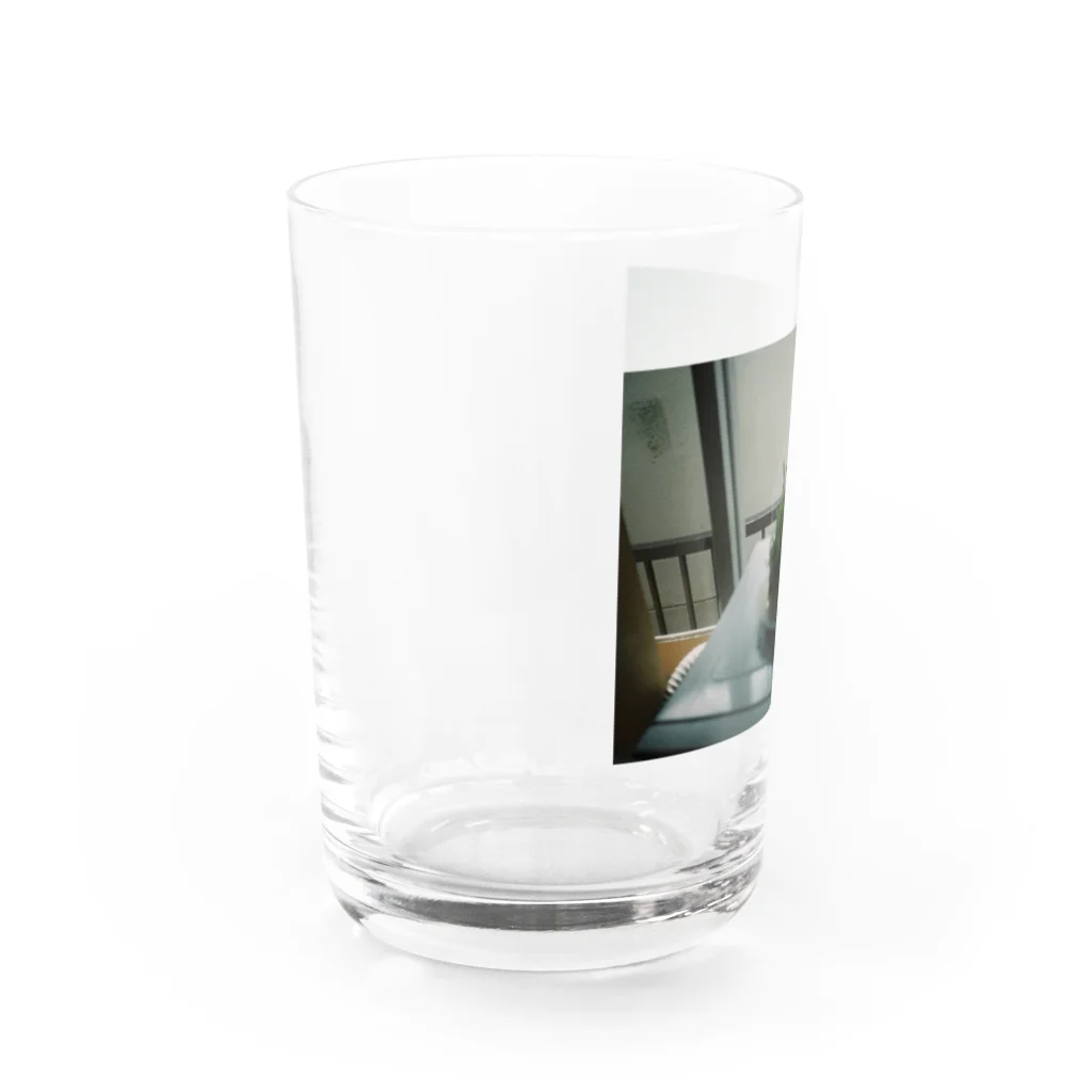 ayasa31の豆苗 Water Glass :left