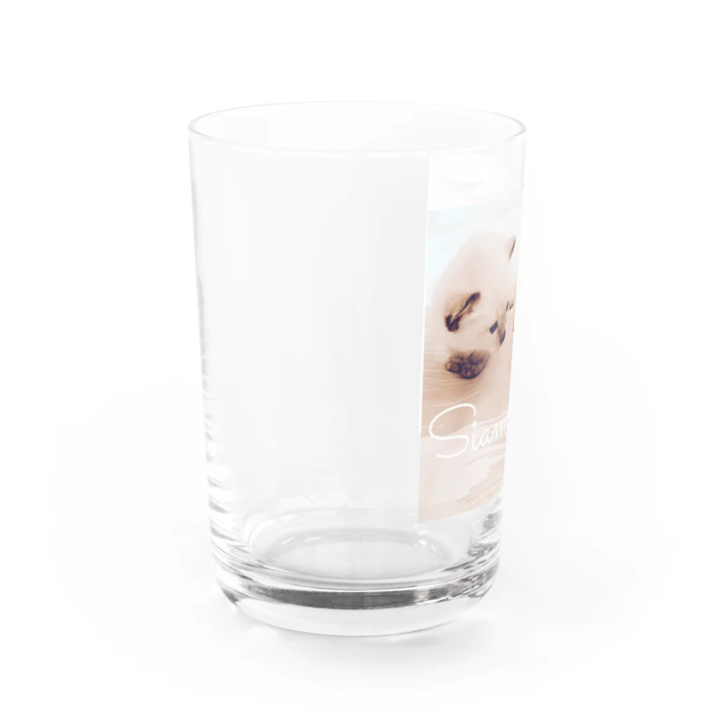 Siamese cat シャムのSiamese cat シャム猫 Water Glass :left